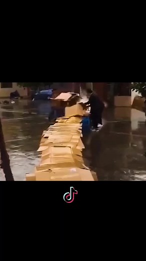 funnylife (@onefunnylife)’s videos with original sound - funnylife