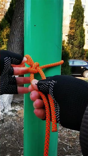 Strong, Simple & EASY to Untie! 🪢 Best Pole Knot #shorts