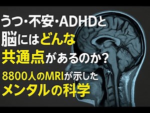 What do depression, anxiety, ADHD, and the brain have in common? ― MRIs of 8,800 people reveal th...