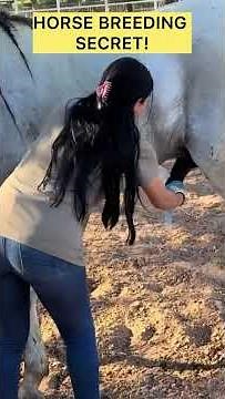 Horse breeding through Artificial Vagina #vetlife #equinevet #horse #vetlife #love #vivienne #care