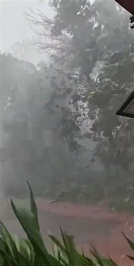 Heavy Rainstorm 🌧️⛈️ Strong Winds & Falling Trees | Powerful Storm Sounds