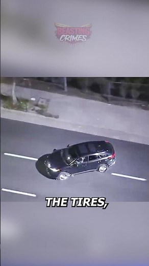 Are Stolen BMW Chases More Dangerous Than Regular Police Chases?