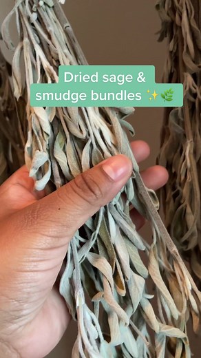 Dehydrating Sage and Making Smudge Bundles: How-To Guide