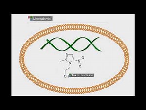 Metronidazole: animation video