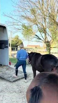 Learning to load into a horse trailer for the foals 🩷 #horse #equestrian #foal #equestrian #animals