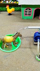 292K views · 1.3K reactions | mini motor water pump machine project and horse water bath video #facebookreels | Sudip Mini Farmers | Facebook