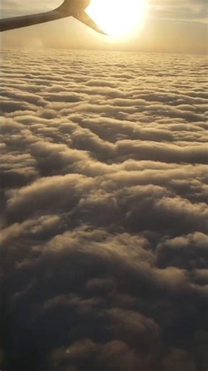 Intriguing & Educational (Dilchasp Facts) #islam #facts #shorts