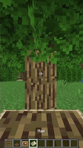 Fake Tree🪵🌲 #shorts #minecraft #aesthetic