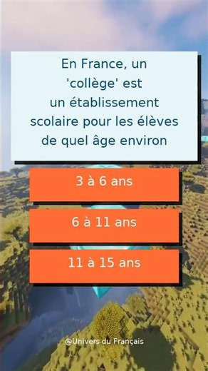 Vocabulaire Français Pour Les Pros !