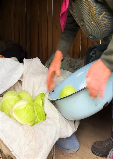 252K views · 4.8K reactions | Maria Keeps a 12 Hour Ukrainian Cabbage Tradition Alive | Life And Foods | Facebook