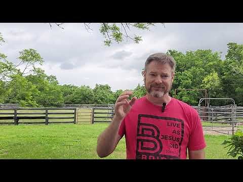 What does "Foreknew" and "Predestined" mean in Romans 8:29-30?