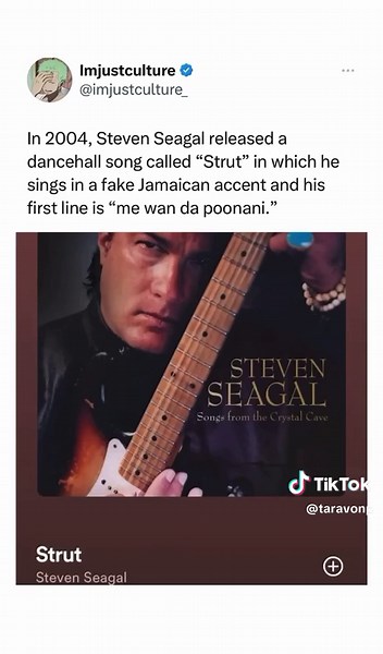 Steven Seagal: From Action Star to Dancing Sensation