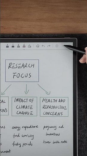 13.3" BOOX tablets for your desk setup