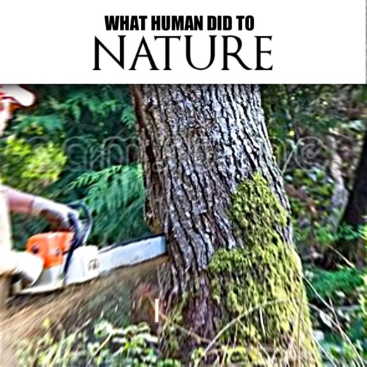 " Nature's Revenge 🌍🗿 " - Nature edit | #shorts ##trending #edit