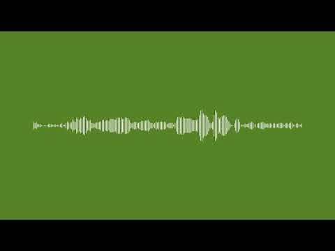 Sounding Soil - Neuheim Ameisen