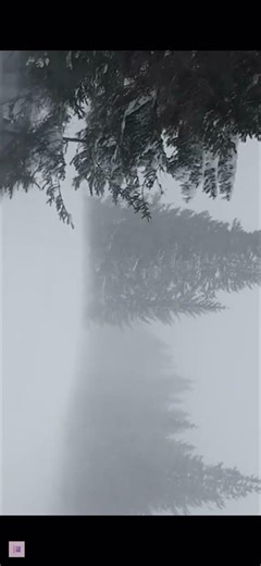 Howling Wind ASMR Winter Snowstorm for Deep Sleep