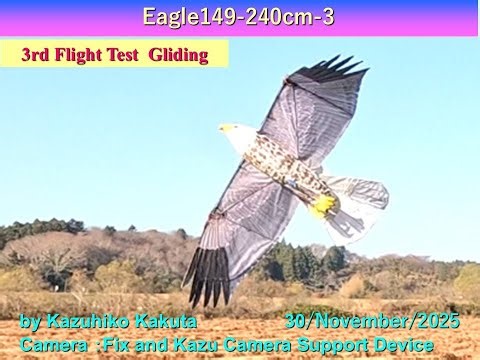 Ornithopter ハクトウワシ型羽ばたき機 完成！！ Eagle149-3 Wingspan 240cm：3rd Flight Test Gliding