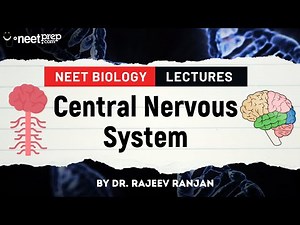 Central Nervous System | Explained by Dr. Rajeev Ranjan | NEET 2025 | Biology Lectures #neet2025