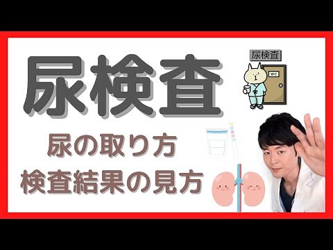 【意外と知らない】尿検査の正しいやり方と結果の見方
