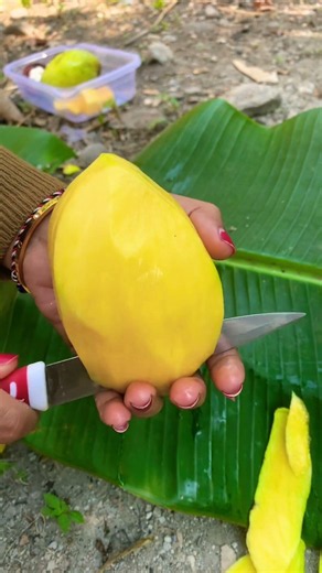 Peel Mango #mango