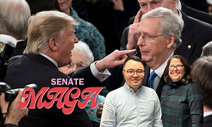 参议院能否给特朗普2.0时代降温？up对话共和党参议院领袖“龟丞相”麦康纳尔的大秘