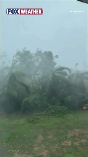 See It: Super Typhoon Bavi Lashes Guam With Intense Winds, Whipping Trees And Rain Sideways