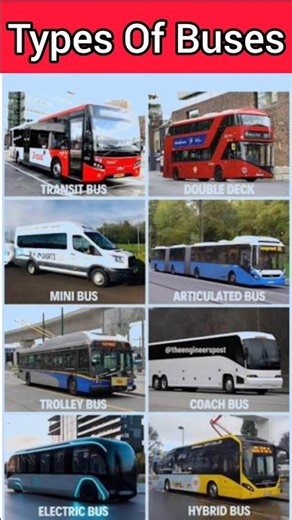 Types Of Buses l Vehicles Name l Transportation #kidslearning #shortsfeed #naimikaclasses