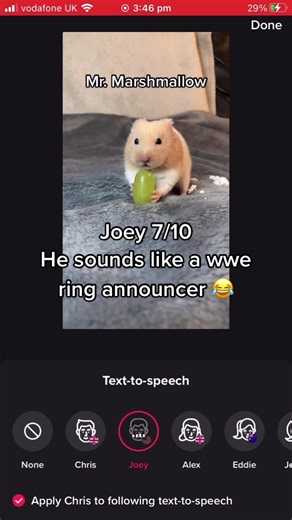 Exploring New Text to Speech Voices for My Hamster's Name Part 2
