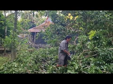 Precision Lumber Cutting from Start to Finish