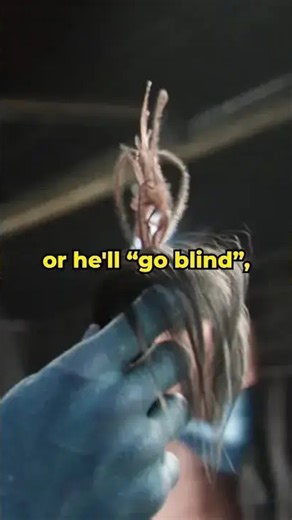 Did You Know... In Avatar? #avatar