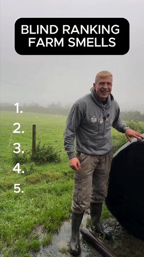 10K views · 80 reactions | There’s smells on the farm you’ll never forget, fresh cut grass, diesel, even a bit of silage. But there’s a few out there that’ll turn your stomach! Wait till you hear the two smells at the end that I just cannot stand! Make sure to follow me @davekennedytlb for more farm life, fitness and a bit of craic! #irishfarming #farminglifefitness #farmhumour #farmersofireland #farmsmells #countrylife | The Lifestyle Blueprint | Facebook