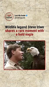 This page explores raw encounters with the wild Steve Irwin spent his life approaching wildlife with calm, respect, and deep understanding rather than fear. His presence around animals was never about control, but about reading behavior and giving space. On the other side of this moment is the bald eagle, a powerful raptor known for its sharp instincts and sensitivity to movement and threat. For an eagle to land calmly means it feels no danger. No tension. No pressure. What makes this moment spe