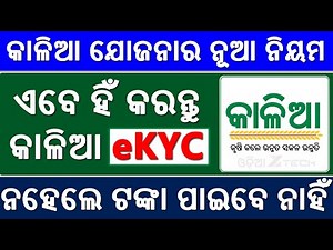 Kalia Yojana e-KYC (Aadhaar Authentication) Complete Process Online | Odisha Kalia e kyc New Update