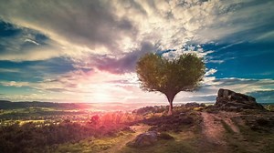 121K views · 691 reactions | They say it's about the company you...