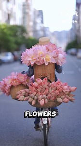The Daily Life of a Lotus Vendor #lotusflowers #flowervendor #streetmarket #fblifestyle | Wild Heart