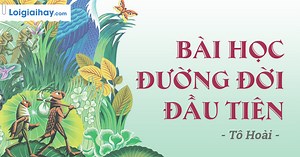 Soạn bài Bài học đường đời đầu tiên SGK Ngữ văn 6 tập 1 Kết nối tri thức với cuộc sống chi tiết