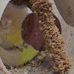 19K views · 51 reactions | Woodturning - Golf Ball Coffee Mug ! | Nick Zammeti | Facebook