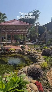 កត្តាបីយ៉ាងជួយឲ្យអាងត្រីមានទឹកថ្លា មិនមានក្លិន។ មានកត្តាតូចៗមួយចំនួនទៀតមិនបានរៀបរាប់អស់ https://t.me/monoreach11 ក្រុមការងារជំនាញក្នុងការរៀបចំសួនច្បារ ទូត្រី និងអាងត្រីបែបធម្មជាតិ មិនហត់ប្ដូរទឹក មិនហត់មើលថែ មិនមានក្លិនស្អុយ។ #fbreelsfypシ゚viralシ #សួនច្បារ #ត្រីខយ #អាងត្រី | Nature Aquatic Design