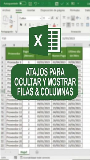 ATAJOS PARA OCULTAR Y MOSTRAR FILAS Y COLUMNAS EN EXCEL #Excel #Exceltips #Exceltutorial