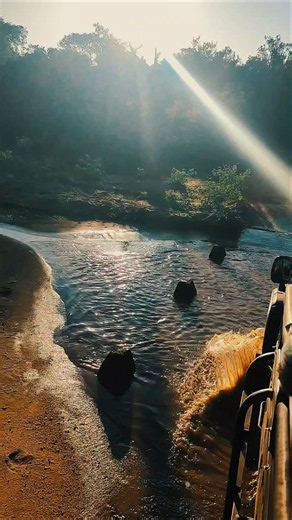 🐆✨ Into the Wild – Yala National Park, Sri Lanka 🇱🇰.📍 Yala National Park, Sri Lanka #yala