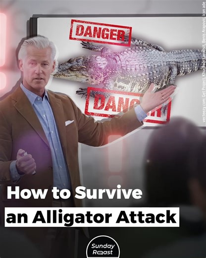 If we’re to believe Hollywood, alligators are scary monsters; but wildlife experts beg to differ. | Sunday Roast