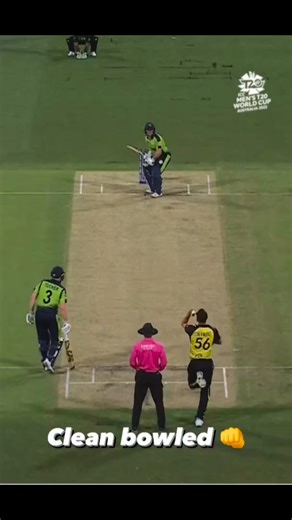 Alam Khan on Instagram: "Hello Fast Bowlers! If you want to improve your body mobility and achieve peak performance at ball release, follow this exercise. #fastbowling #training #fblifestyle"