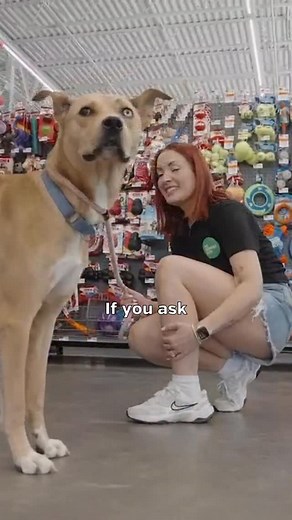 Store team leaders, community partners, and partners in life. Bryan and Rheannon are truly a power duo! As the faces behind the Pet Supplies Plus - Orange Park, Fl and Pet Supplies Plus University stores, they’ve spent years going above and beyond for the Jacksonville, FL community. From organizing donation drives and adoption events to supporting local rescues and neighbors in need, their impact reaches far beyond the store walls. Their dedication and compassion embody what it means to be part 