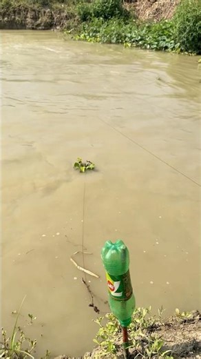 Very amazing fishing technique #shorts