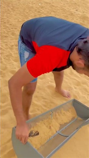 Beach Sand Sifting: You Won't BELIEVE My Find! 😲 #shorts