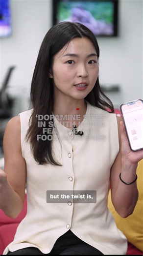 A growing number of young people in South Korea are using “dopamine sites,” such as a fake food delivery service and a virtual cigarette, all for a quick escape from financial and social pressure. #cnn #news #southkorea