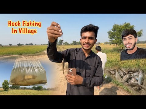 Best Hook Fishing 🎣 In Village | Zohaib Pendu | Saqlain Pendu
