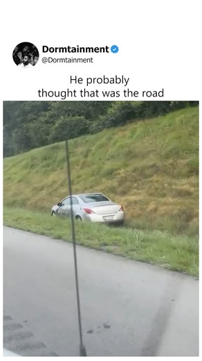 My guy was driving in his own lane | Dormtainment