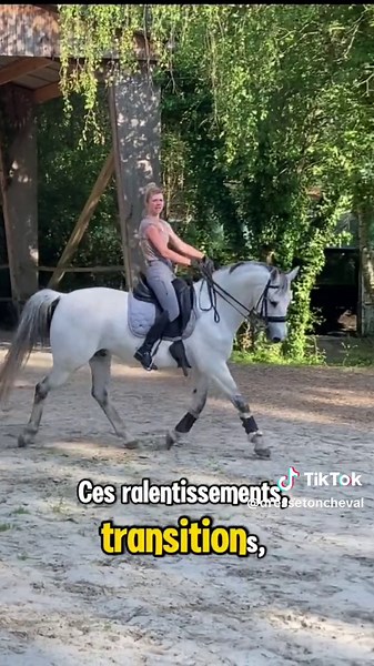 ➡️ Je t’explique comment ralentir ton cheval en utilisant le moins possible l’action des mains. ➡️ Lui donner un repère avec une pression/ un contact du bas du corps, les genoux et les mollets collés sont un indicateurs fiables pour des aides justes. ➡️ Le redressement du buste vers le haut, fermé progressivement ses doigts sur les rênes ⚠️ Sans ramener les mains vers soi, elles doivent restées poser et symétriques. ➡️Travailler d’abord les ralentissements sur la même allure, puis les transition
