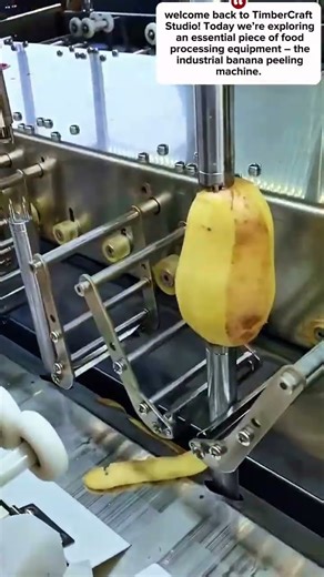 Industrial Banana Peeling Machine - Educational Guide: Specs, Pros, Cons & Productivity Impact